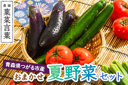 葉菜言葉のおまかせ夏野菜セット 約1kg 令和8年産 [0636]