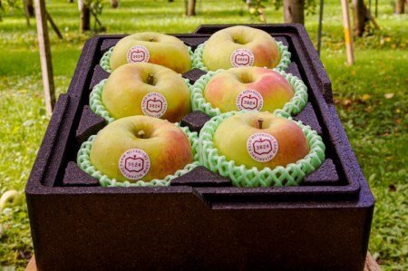 贈答用] 名月【約2kg 6玉入り】糖度15度以上のりんご｜令和7年 2025年