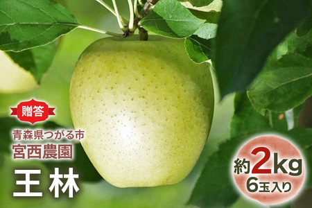 [贈答用] 王林【約2kg 6玉入り】芳醇な香りの青りんご｜青森産 津軽 つがる りんご リンゴ 果物 フルーツ [0679]