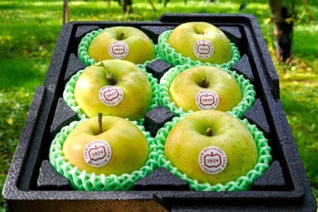 [贈答用] 王林【約2kg 6玉入り】芳醇な香りの青りんご｜青森産 津軽 つがる りんご リンゴ 果物 フルーツ [0679]