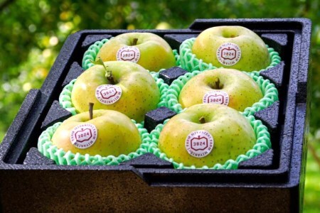 [贈答用] 王林【約2kg 6玉入り】芳醇な香りの青りんご｜青森産 津軽 つがる りんご リンゴ 果物 フルーツ [0679]