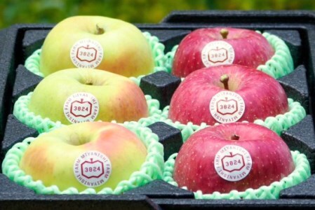 [贈答用] 名月×葉取らずふじ【約2kg 各3玉入り 計6玉】贅沢りんご 2種セット｜令和7年 2025年 ギフト 青森産 津軽 つがる りんご リンゴ 果物 フルーツ めいげつ フジ [0681]