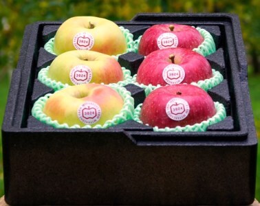 [贈答用] 名月×葉取らずふじ【約2kg 各3玉入り 計6玉】贅沢りんご 2種セット｜令和7年 2025年 ギフト 青森産 津軽 つがる りんご リンゴ 果物 フルーツ めいげつ フジ [0681]