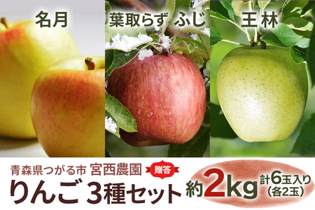 [贈答用] 名月×葉取らずふじ×王林【約2kg 各2玉入り 計6玉】贅沢りんご 3種セット｜令和7年 2025年 ギフト 青森産 津軽 つがる りんご リンゴ 果物 フルーツ めいげつ フジ おうりん [0682]