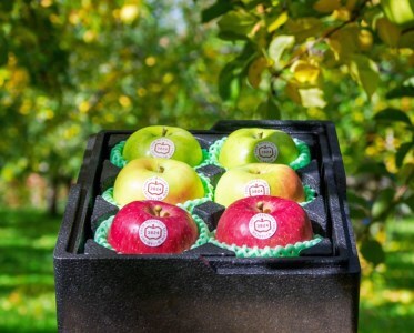 [贈答用] 名月×葉取らずふじ×王林【約2kg 各2玉入り 計6玉】贅沢りんご 3種セット｜令和7年 2025年 ギフト 青森産 津軽 つがる りんご リンゴ 果物 フルーツ めいげつ フジ おうりん [0682]