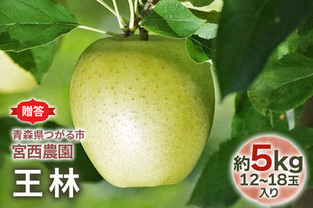 [贈答] 王林【約5kg 12から18玉入り】芳醇な香りの青りんご｜令和7年 2025年 ギフト 青森産 津軽 つがる りんご リンゴ 果物 フルーツ おうりん [0684]