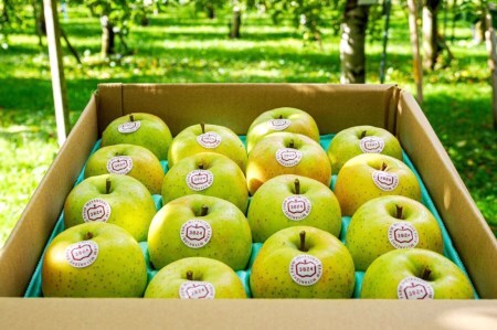 [贈答] 王林【約5kg 12から18玉入り】芳醇な香りの青りんご｜令和7年 2025年 ギフト 青森産 津軽 つがる りんご リンゴ 果物 フルーツ おうりん [0684]