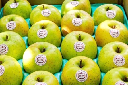 [贈答] 王林【約5kg 12から18玉入り】芳醇な香りの青りんご｜令和7年 2025年 ギフト 青森産 津軽 つがる りんご リンゴ 果物 フルーツ おうりん [0684]