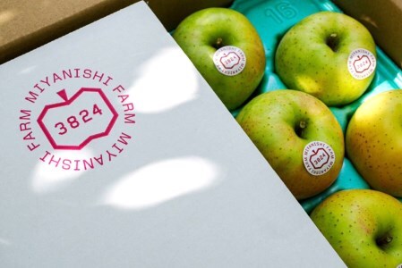 [贈答] 王林【約5kg 12から18玉入り】芳醇な香りの青りんご｜令和7年 2025年 ギフト 青森産 津軽 つがる りんご リンゴ 果物 フルーツ おうりん [0684]