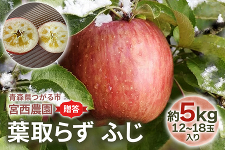 [贈答] 葉取らずふじ【約5kg 12から18玉入り】園主選抜の特選りんご｜令和7年 2025年 ギフト 青森産 津軽 つがる りんご リンゴ 果物 フルーツ フジ [0685]