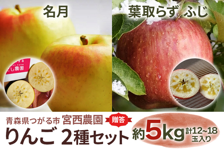 [贈答] 名月×葉取らずふじ【約5kg 計12から18玉入り】贅沢りんご 2種セット｜令和7年 2025年 ギフト 青森産 津軽 つがる りんご リンゴ 果物 フルーツ めいげつ フジ [0686]