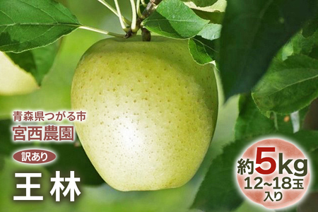 [訳あり] 王林【約5kg 12から18玉入り】芳醇な香りの青りんご｜ 令和7年 2025年 訳アリ 訳あり 家庭用 青森産 津軽 つがる りんご リンゴ 果物 フルーツ おうりん [0689]