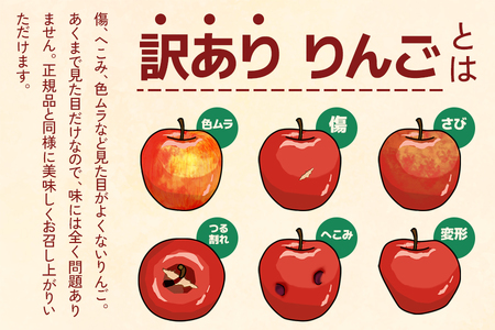 [訳あり] 王林【約5kg 12から18玉入り】芳醇な香りの青りんご｜ 令和7年 2025年 訳アリ 訳あり 家庭用 青森産 津軽 つがる りんご リンゴ 果物 フルーツ おうりん [0689]