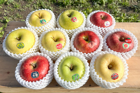 木村農産のりんご詰め合わせ (贈答用) 約4kg (10玉から12玉)｜青森県産