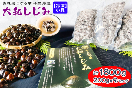 [冷凍] 十三湖産 大和しじみ -飲む黒いダイヤ- 1.8kg (小貝200g×9パック)｜ヤマトシジミ貝 青森 津軽 十三湖 つがる みそ汁 冷凍しじみ しじみ 貝 国産 小粒 小貝 しじみ汁 [0768]