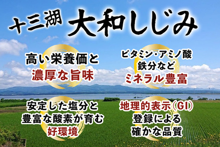 [冷凍] 十三湖産 大和しじみ -飲む黒いダイヤ- 1.8kg (小貝200g×9パック) [0768]