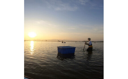 [冷凍] 十三湖産 大和しじみ -飲む黒いダイヤ- 1.8kg (小貝200g×9パック) [0768]