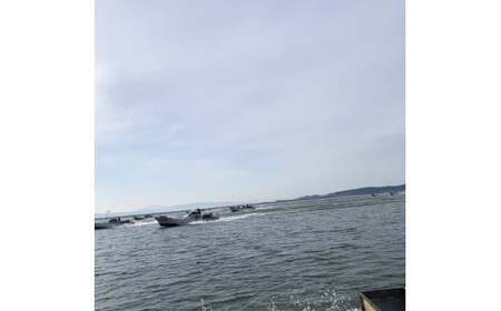 [冷凍] 十三湖産 大和しじみ -飲む黒いダイヤ- 1.8kg (小貝200g×9パック) [0768]