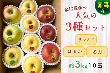 木村農産の人気の3種セット (サンふじ・はるか・名月) 約3kg 10個入り ｜青森県産 つがる りんご リンゴ 林檎 サンふじ さんふじ はるか ハルカ  名月 めいげつ 果物 フルーツ 令和7年産 2025年産 [0948]