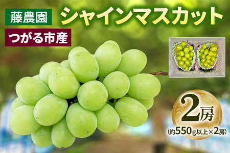 シャインマスカット 2房 (約550g以上×2房)糖度18度以上 [0965]
