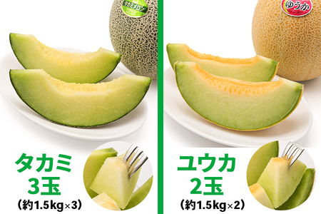【先行予約】メロン [タカミ] [ユウカ] 5玉セット｜舐瓜 [0963]