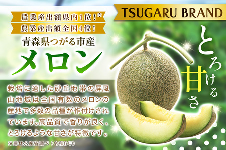 【先行予約】メロン [タカミ] [ユウカ] 5玉セット｜舐瓜 [0963]