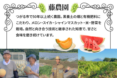 スイカ (小玉) ピノガール2玉 青森産 産直｜つがる市産 2026年産 令和8年 夏 すいか 西瓜 果物 フルーツ 旬 特産 藤農園 農福連携 [0834]