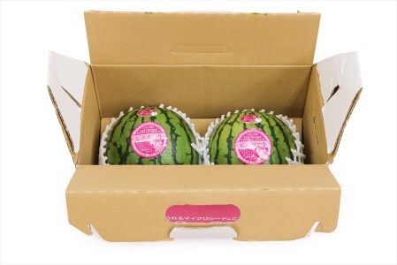 スイカ (小玉) ピノガール2玉 青森産 産直｜つがる市産 2026年産 令和8年 夏 すいか 西瓜 果物 フルーツ 旬 特産 藤農園 農福連携 [0834]