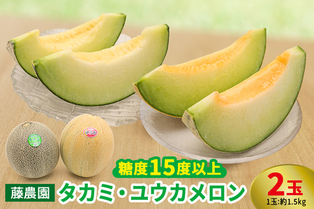 メロン [タカミ] [ユウカ] 2玉セット｜つがる市産 青森産 産直 2026年産 令和8年 夏 めろん 果物 フルーツ 旬 特産 藤農園 農福連携 先行受付 [0837]