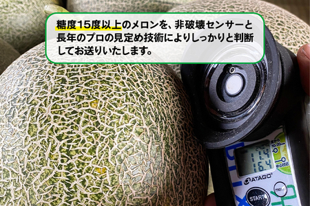 メロン [タカミ] [ユウカ] 2個セット｜青森産 産直 2024年産 令和6年 夏 めろん 果物 フルーツ 旬 特産 藤農園 [0623]