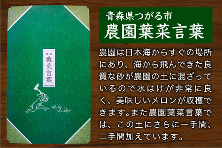 高級 メロン『浮世離れ』2玉【2026年7月下旬から8月上旬まで順次発送】一度は食べてみたい！市場に出回らない｜青森県 青森産 津軽 つがる めろん メロン 果物 フルーツ 夏メロン 青森メロン [0892]