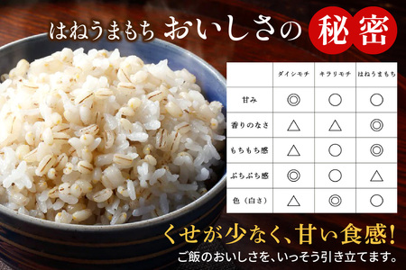 [青森県産もち麦] つがるもち麦 美仁 900g《定期便／全6回／毎月お届け》｜青森 津軽 食物繊維 もちむぎ 無農薬 [0388]