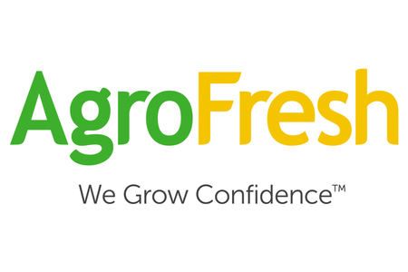 家庭用 りんご サンふじ スマートフレッシュ™ 3kg (9玉から12玉入り 3kg 1箱) 見た目にわけあり 味はそのまま [0794]