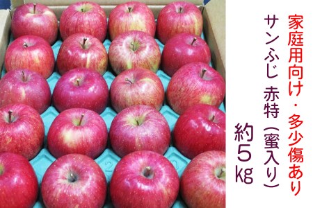 [家庭用向け・多少傷あり] サンふじ りんご 赤特(蜜入り) 約5kg(20玉)｜青森産 つがる 津軽 リンゴ 林檎 果物 フルーツ サンフジ 2024年 令和6年 [0718]