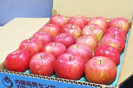 [家庭用向け・多少傷あり] サンふじ りんご 赤特(蜜入り) 約5kg(20玉)｜青森産 つがる 津軽 リンゴ 林檎 果物 フルーツ サンフジ 2024年 令和6年 [0718]