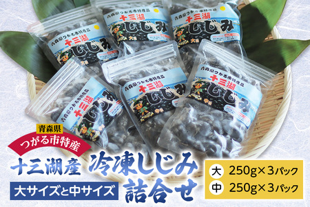 [青森県十三湖産] 冷凍しじみ 大サイズと中サイズ・2種類の詰め合わせセット｜青森 つがる市特産 みそ汁 味噌汁 大和しじみ [0433]