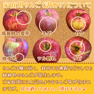家庭用りんご サンふじ 5kg (14玉から20玉入り 5kg 1箱) 見た目にわけあり 味はそのまま｜青森 津軽 つがる リンゴ 訳あり 果物 旬 [0342]
