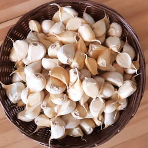 黒滝農園の乾燥バラにんにく｜青森 津軽 つがる ニンニク 料理 免疫 にんにく ニンニク にんにく ニンニク [0454]