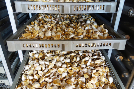 黒滝農園の乾燥バラにんにく｜青森 津軽 つがる ニンニク 料理 免疫 にんにく ニンニク にんにく ニンニク [0454]