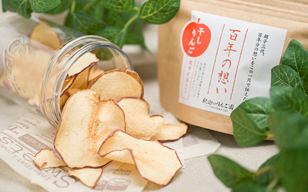 【レビューキャンペーン】親子三代最高位の「干しりんごスライスタイプ」25g×8パック　【果物類・林檎・リンゴ・ドライフルーツ・加工食品・林檎チップス】[hi-0003-004]