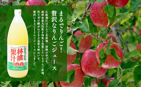 【レビューキャンペーン】ひろふね林檎果汁100％（ブレンド1L×6本入り）　【飲料類・果汁飲料・りんご・ジュース・果物類・林檎・リンゴ】[hi-0004-001]