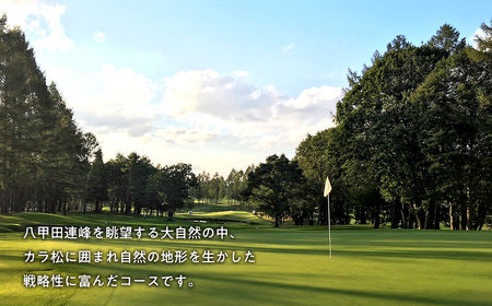 【レビューキャンペーン】びわの平ゴルフ倶楽部　土休日セルフプレー券（昼食付）　【ゴルフ場利用権】[hi-0018-003]