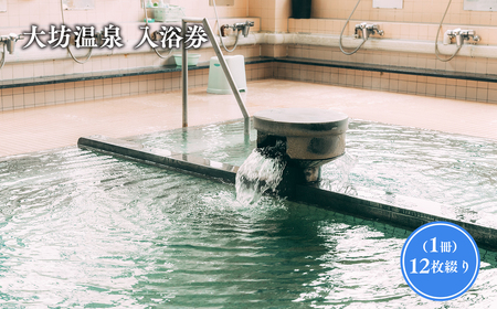 【レビューキャンペーン】大坊温泉 入浴券12枚綴り1冊　【 チケット 温泉利用券 癒し リラックス ストレス 源泉かけ流し 湯舟 透明 風邪引かず 評判 サウナ 入浴 】[hi-0037-001]