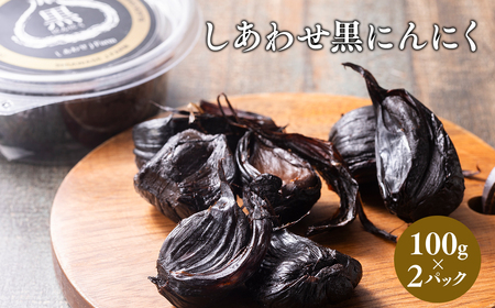【レビューキャンペーン】しあわせj-Farm しあわせ黒にんにく 100g×2パック　【 加工食品 野菜 熟成 発酵 高糖度 ドライフルーツ マイルド お年寄り 子供 抗酸化作用 ポリフェノール  健康維持 アミノ酸 健康 】[hi-0028-004]