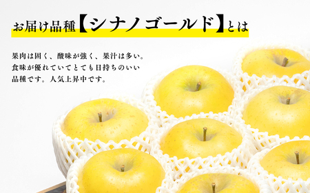 【レビューキャンペーン】【4月発送】  親子三代最高位のシナノゴールド約3kg【全国ふじコンテスト最高賞受賞農園・平川市広船産りんご・スマートフレッシュ貯蔵】[hi-0003-022]