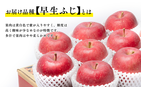 【レビューキャンペーン】【10月発送】 親子三代最高位の早生ふじ 約3kg【全国ふじコンテスト最高賞受賞農園・平川市広船産りんご】[hi-0003-029]