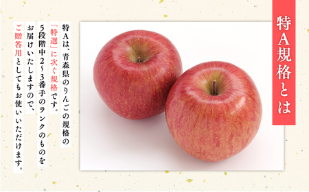 《12月発送》サンふじりんご 「 特A 」規格 約3kg(8～10玉程度) 【糖度 13度以上 森山商店 平川市産 青森りんご 年内発送 12月 林檎 リンゴ りんご サンふじ ふじ 特A規格 光センサー 選果 平川市 青森県】