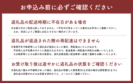 《12月発送》サンふじりんご 「 特A 」規格 約3kg(8～10玉程度) 【糖度 13度以上 森山商店 平川市産 青森りんご 年内発送 12月 林檎 リンゴ りんご サンふじ ふじ 特A規格 光センサー 選果 平川市 青森県】