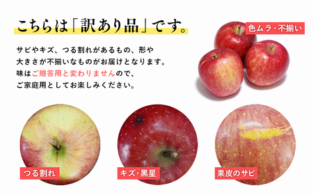 《4月発送》 訳ありCA貯蔵サンふじ 約10kg(28～46玉程度)【りんご 森山商店 平川市産 青森りんご 年明け発送 4月 CA 貯蔵 林檎 リンゴ サンふじ ふじ 平川市 青森県】