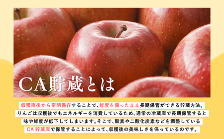 《4月発送》 訳ありCA貯蔵サンふじ 約10kg(28～46玉程度)【りんご 森山商店 平川市産 青森りんご 年明け発送 4月 CA 貯蔵 林檎 リンゴ サンふじ ふじ 平川市 青森県】